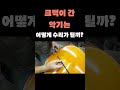 억대 현악기 수리 전문가의 첼로 앞판 크랙수리 🎻