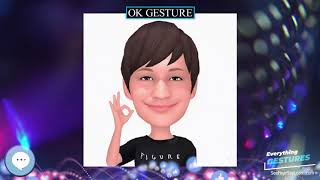 OK gesture  ✌️ EVERYTHING GESTURES 👍