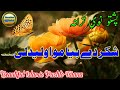 Pashto Beautiful Tarana Nazam پشتو نیا بہترین ترانہ نظم