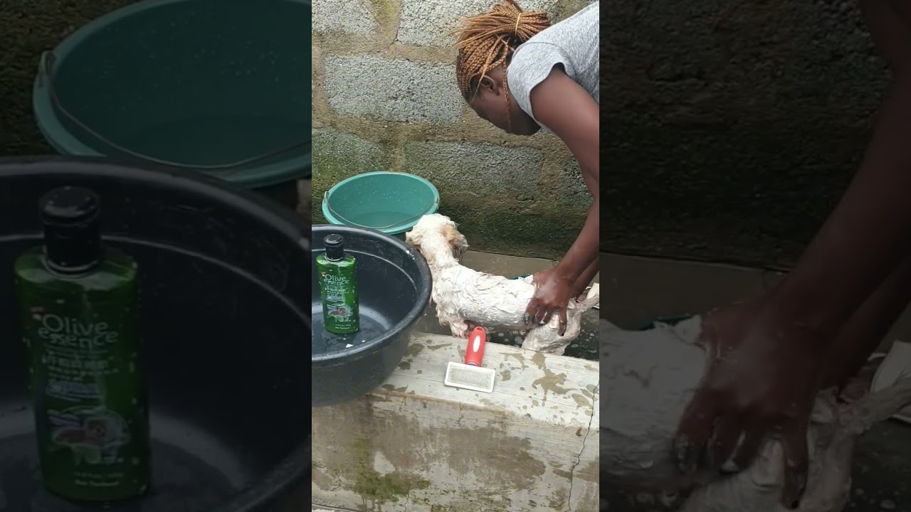 luna bathing routine 😍