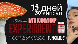 Красный мухомор/ Честный обзор на микродозинг Fungiline Михаила Вишневского/ ЭКСПИРИМЕНТ 15 дней Красный мухомор/ Честный обзор на микродозинг Fungiline Михаила Вишневского/ ЭКСПИРИМЕНТ 15 дней