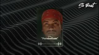 Download lagu Dalsin - 'Parabellum'  (Instrumental)