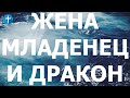 Откровение Иоанна Богослова 12:1-14  #апокалипсис О особых знамениях для Иоанна