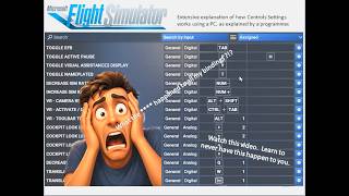The Complete Guide to Control Settings in MSFS 2024