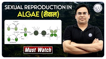 SEXUAL REPRODUCTION IN ALGAE | RPSC ASSISTANT PROFESSOR | NILESH SONI