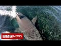 'Sharks everywhere': Angler films feeding frenzy in Australia - BBC News