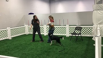 GMAB: Handler Goes to Chair