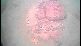 11006_DVD3_18_995-17.m4v