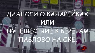 Диалоги о канарейках или Путешествие к берегам Павлово на Оке.