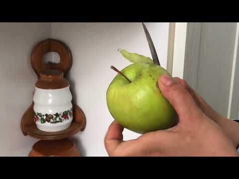 ქვემძრომი - ენდემური ბატი