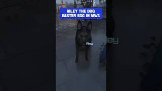 Riley Easter Egg in MODERN WARFARE 3
