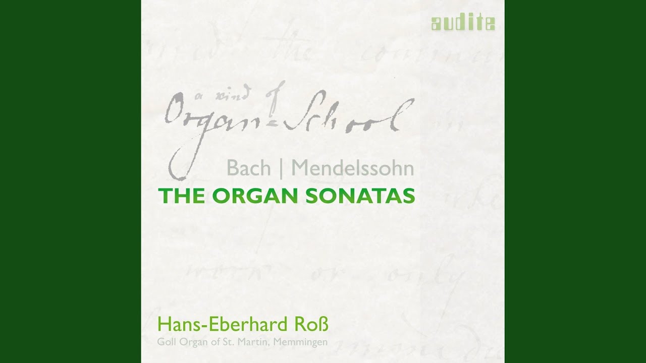 Assista a Organ Sonata No. 1 in F Minor, Op. 65/1: IV. Allegro assai vivace no YouTube