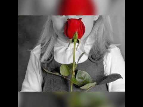 يا ملح دارنا