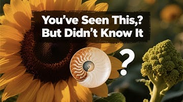 Understanding the Fibonacci Sequence in Nature