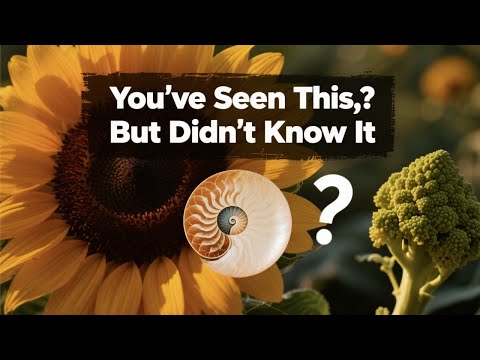 Understanding the Fibonacci Sequence in Nature