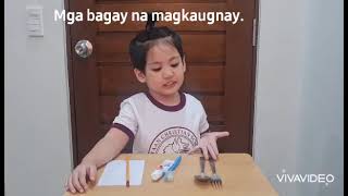 mga bagay na magkakaugnay