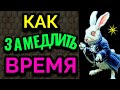 Как замедлить время?  Почему в старости время ускоряется + Моя еда и салат из морской капусты. № 580