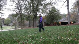 Boykin Spaniel Mini T Drill