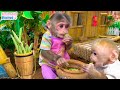 Smart BiBi harvests string beans to feed baby monkey Obi