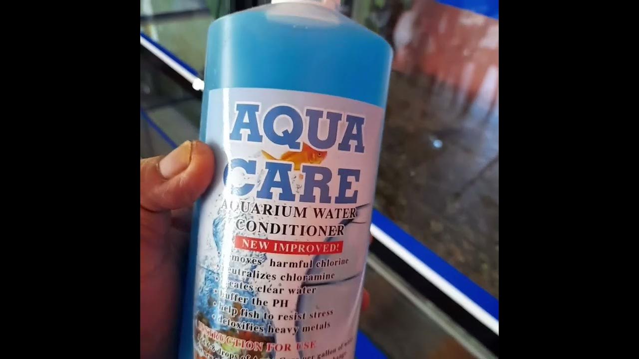 water change due to presence of amonia and foul odor of the crayfish