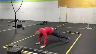 Plank Toe Touch