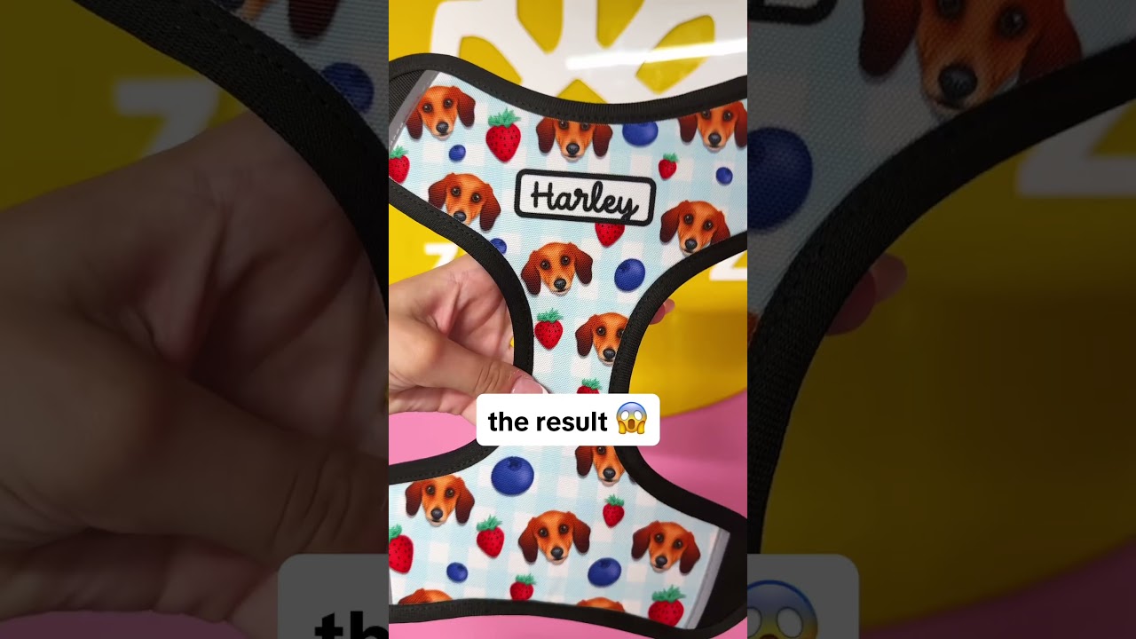 Describe your cat in 3 emojis. I’ll go first: 👁️💤🍗 Your turn! 