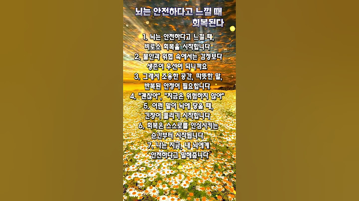 뇌는 안전하다고 느낄 때 회복된다_진정된 공간에서 감정이 회복되는 원리