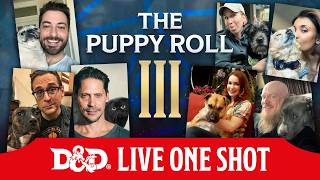 The Puppy Roll 3 Livestream screenshot 5