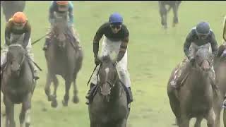 Kitasan Black wins the 2017 Autumn Tenno Sho