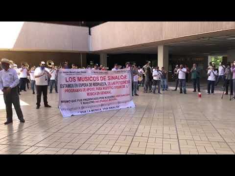 Con serenata músicos piden apoyo a Quirino Ordaz