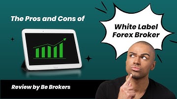 The Pros and Cons of Choosing a White Label Forex Broker | Be Brokers