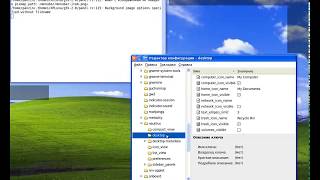 Установка темы в Linux похожей на windows xp