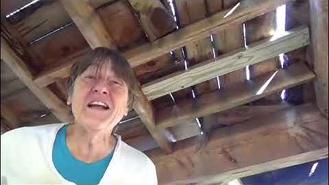 The Treehouse Project, Part 11: So I Found Another Problem