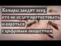 Комары заедят всех, кто не будет протестовать и бороться с цифровым обществом