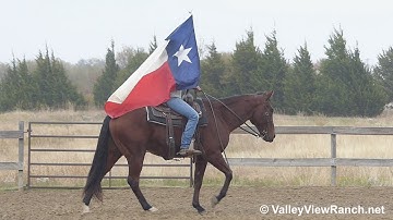 JB - carrying the flag and tarp! - ValleyViewRanch.net