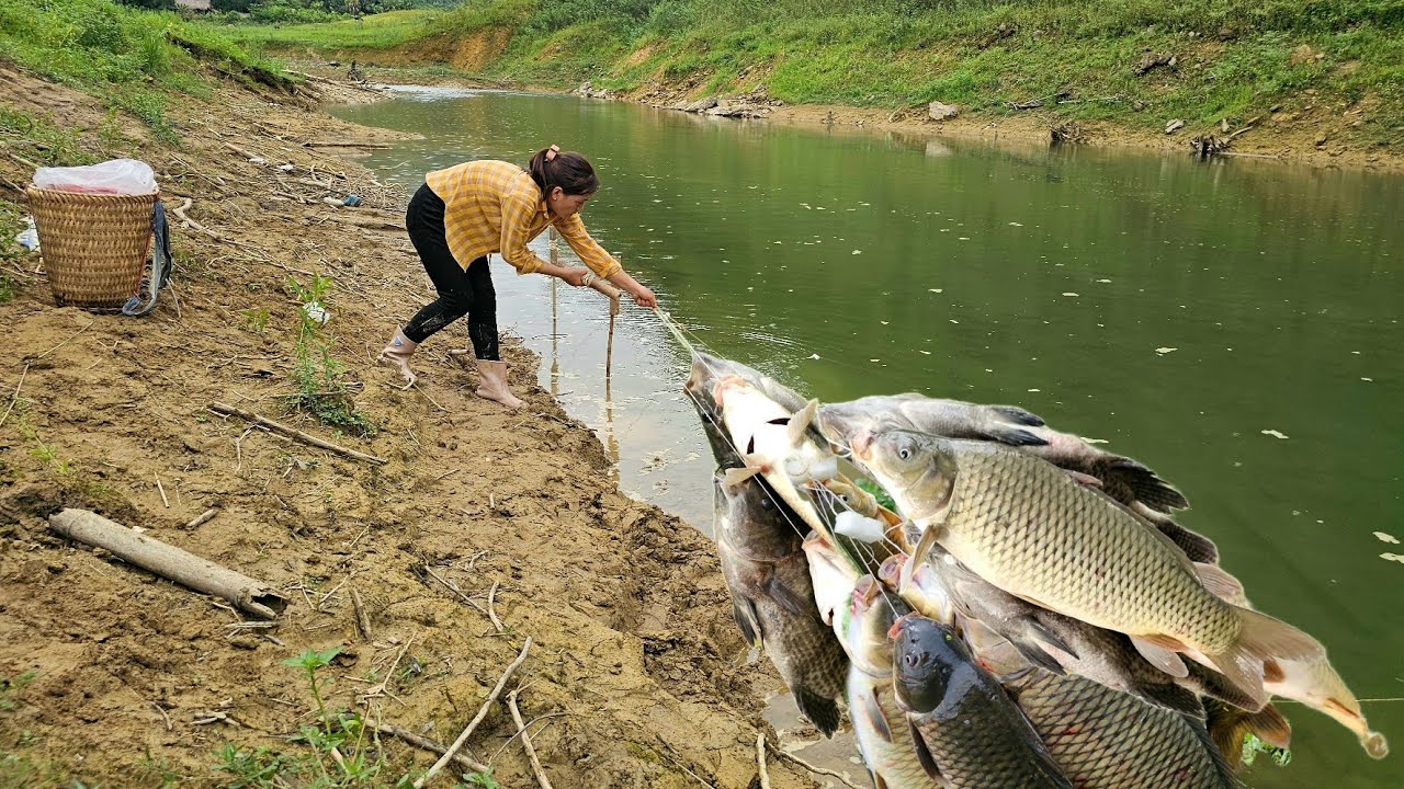 Fishing Skills - Single Mom Uses Traditional Fishing Techniques to Catch Giant Carp and Catfish.