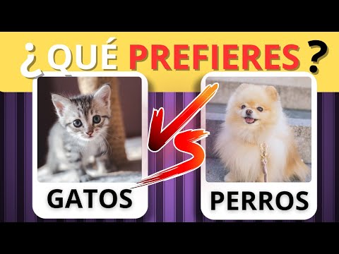 ¿QUÉ PREFIERES? Edición