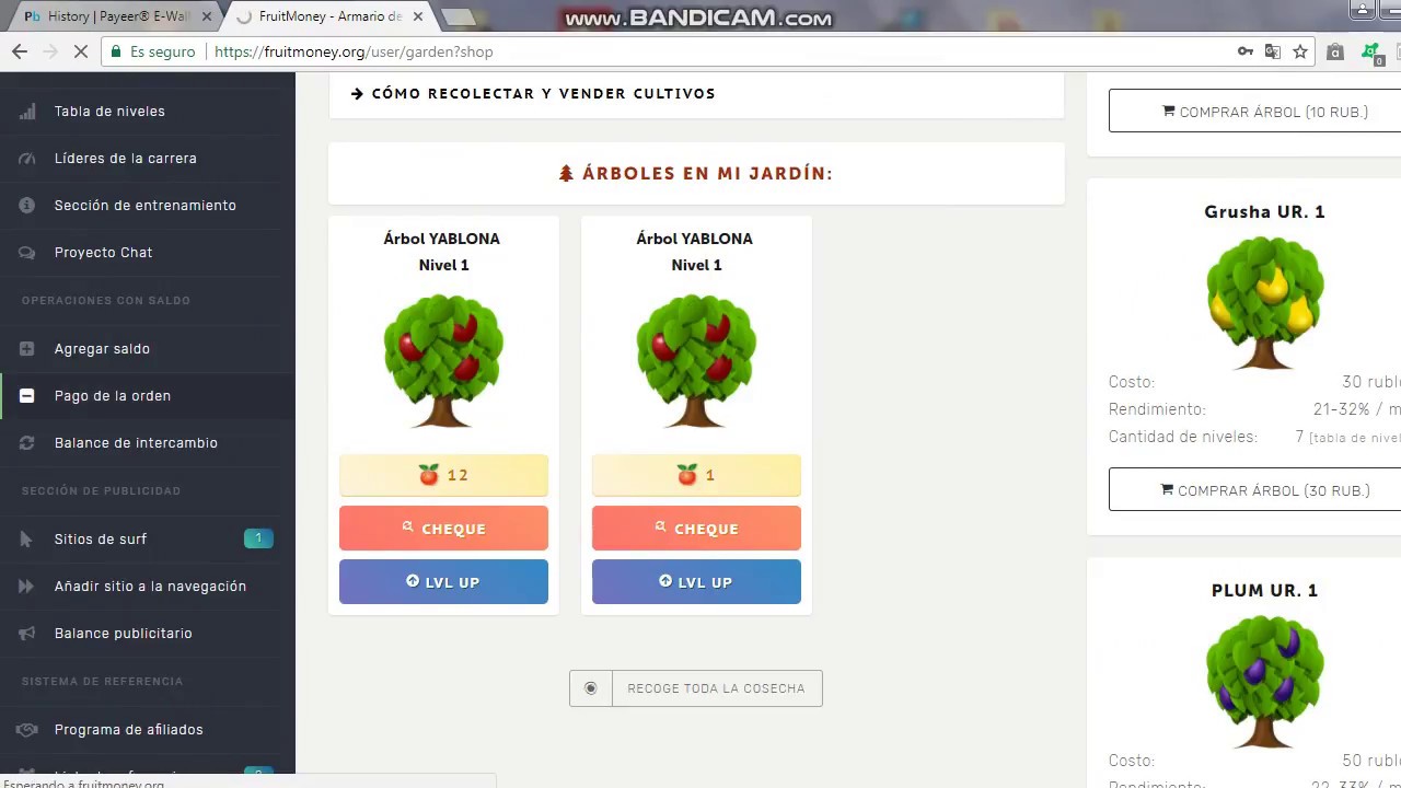 FruitMoney pagando 2018 gana rublos.