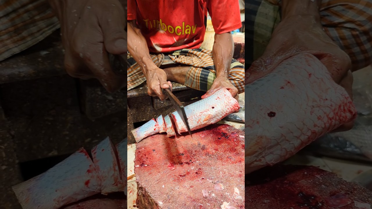 Fish Cutting Skills | Amazing Rohu Fish Cutting Skills In BF Fish Market By Expert Cutter 
