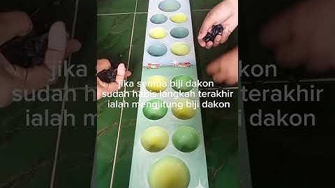 Tugas Informatika "Membuat Vlog Permainan Tradision" By Kelompok Nana,Citra,Husna Dan Rindang