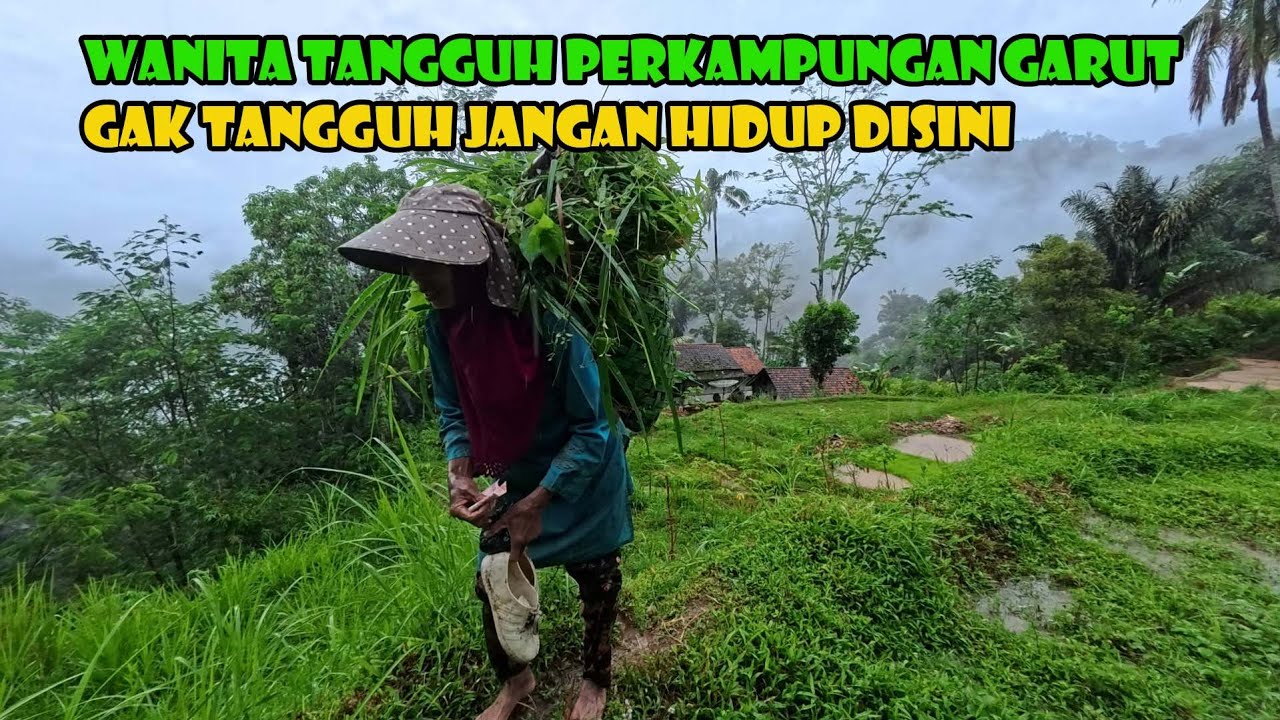 Alam Menempa Mereka Untuk Hidup Tangguh. Di Bawah Hujan Deras Tetap Berjuang.