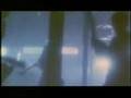 Legend Of The Wolf Fight 1 