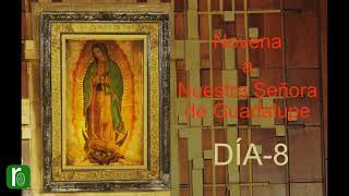 Novena a Nuestra Señora de Guadalupe - DÍA 8