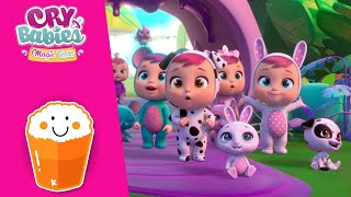 Maceralar Tutti Frutti Cry Babies Magic Tears Türkçe Fragman