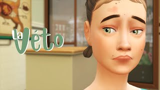 VIRÉ  - 03 - LETS PLAY SIMS 4 CHIENS ET CHATS FR