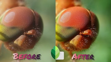 HOW TO EDIT MACRO PHOTO ON SNAPSEED (ANDROID OR IOS) 4K