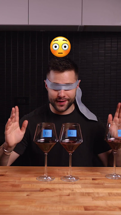 $1 vs $1,000 Wine Taste Test