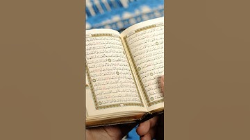 #إسلام_صبحي #تلاوة_هادئة #تلاوة_خاشعة #خواتيم_سورة_المؤمنون #سورة_المؤمنون #قرآن_كريم #viral #