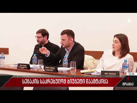 სენაკის საკრებულომ ბიუჯეტი დაამტკიცა