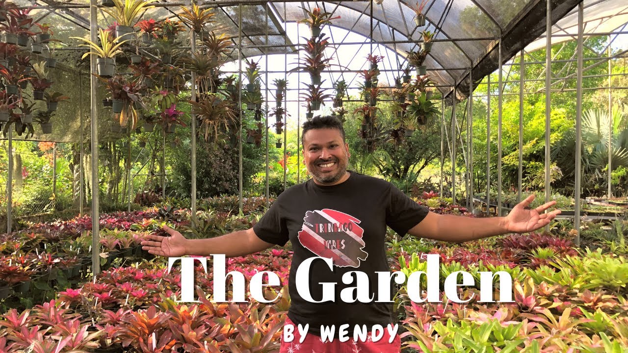 The Garden by Wendy Lee Yuen - A trip to a plant shop in San Raphael Trinidad